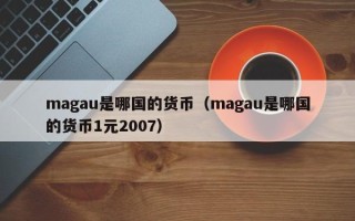 magau是哪国的货币（magau是哪国的货币1元2007）