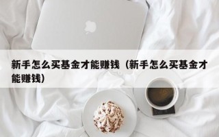 新手怎么买基金才能赚钱（新手怎么买基金才能赚钱）