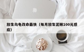 放生乌龟改命最快（每月放生泥鳅100元感应）