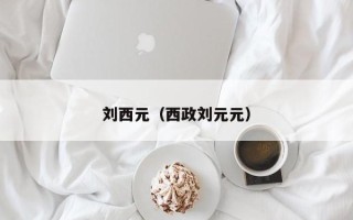 刘西元（西政刘元元）