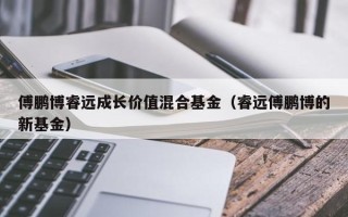 傅鹏博睿远成长价值混合基金（睿远傅鹏博的新基金）