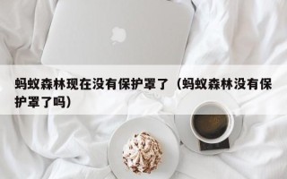 蚂蚁森林现在没有保护罩了（蚂蚁森林没有保护罩了吗）