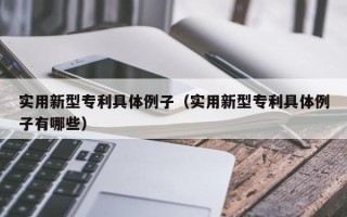 实用新型专利具体例子（实用新型专利具体例子有哪些）