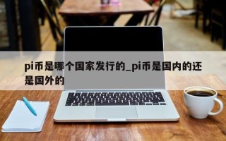 pi币是哪个国家发行的_pi币是国内的还是国外的