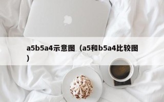 a5b5a4示意图（a5和b5a4比较图）