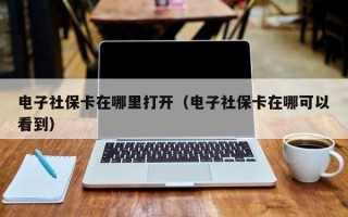 电子社保卡在哪里打开（电子社保卡在哪可以看到）