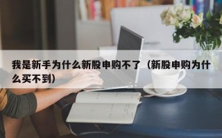 我是新手为什么新股申购不了（新股申购为什么买不到）