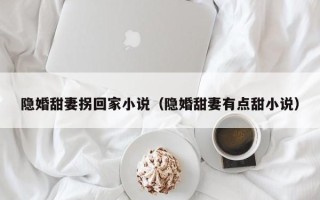 隐婚甜妻拐回家小说（隐婚甜妻有点甜小说）