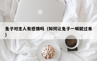 兔子对主人有感情吗（如何让兔子一喊就过来）