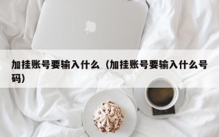 加挂账号要输入什么（加挂账号要输入什么号码）