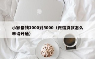 小额借钱1000到5000（微信贷款怎么申请开通）