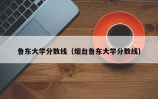 鲁东大学分数线（烟台鲁东大学分数线）