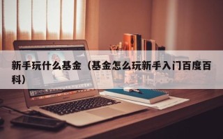 新手玩什么基金（基金怎么玩新手入门百度百科）