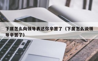 下属怎么向领导表达你辛苦了（下属怎么说领导辛苦了）