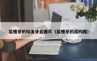 后槽牙的标准牙齿图片（后槽牙的结构图）