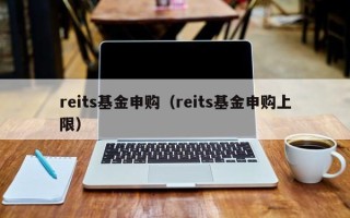 reits基金申购（reits基金申购上限）