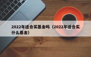 2022年适合买基金吗（2022年适合买什么基金）