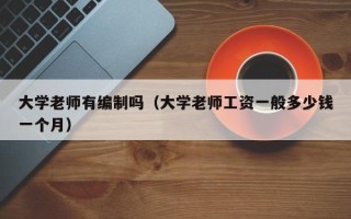 大学老师有编制吗（大学老师工资一般多少钱一个月）