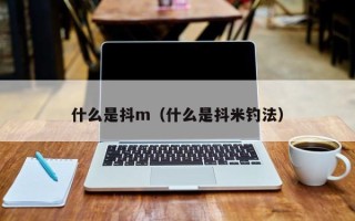 什么是抖m（什么是抖米钓法）