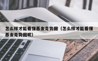 怎么样才能看懂基金走势图（怎么样才能看懂基金走势图呢）