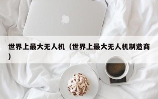 世界上最大无人机（世界上最大无人机制造商）