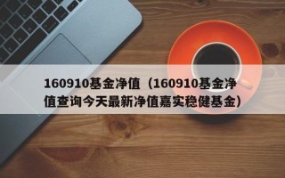 160910基金净值（160910基金净值查询今天最新净值嘉实稳健基金）