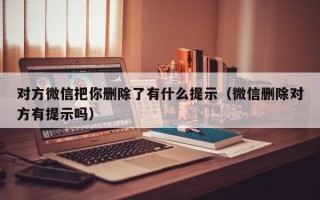 对方微信把你删除了有什么提示（微信删除对方有提示吗）