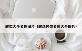 螺类大全名称图片（螺丝种类名称大全图片）