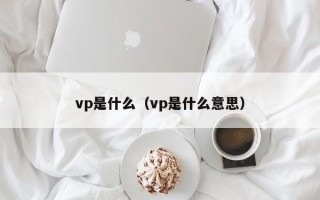 vp是什么（vp是什么意思）