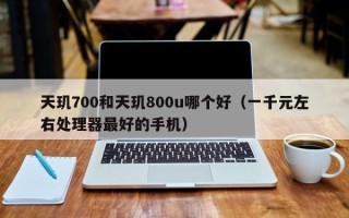 天玑700和天玑800u哪个好（一千元左右处理器最好的手机）