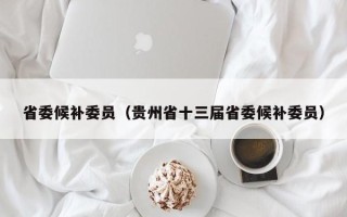 省委候补委员（贵州省十三届省委候补委员）