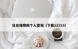 社会保障网个人查询（下载12333）