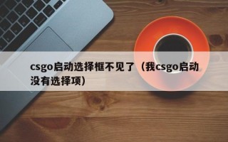 csgo启动选择框不见了（我csgo启动没有选择项）