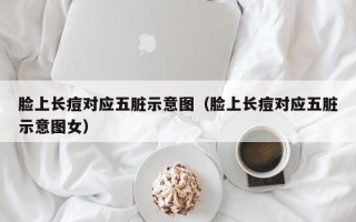 脸上长痘对应五脏示意图（脸上长痘对应五脏示意图女）