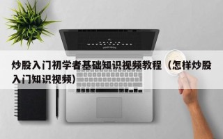 炒股入门初学者基础知识视频教程（怎样炒股入门知识视频）