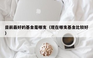 目前最好的基金是哪支（现在哪支基金比较好）