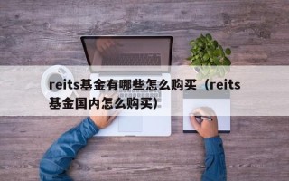 reits基金有哪些怎么购买（reits基金国内怎么购买）