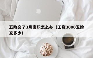 五险交了3月离职怎么办（工资3000五险交多少）