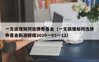 一文搞懂如何选债券基金（一文搞懂如何选债券基金新浪财络2020一03一12）