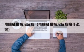 电脑触摸板没反应（电脑触摸板没反应按什么键）