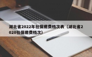 湖北省2022年社保缴费档次表（湖北省2020社保缴费档次）