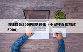 借钱应急3000微信转账（不审核直接放款5000）