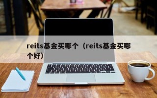 reits基金买哪个（reits基金买哪个好）