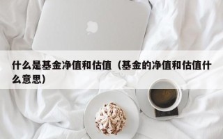 什么是基金净值和估值（基金的净值和估值什么意思）