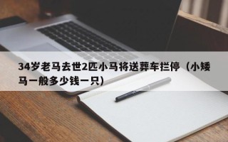 34岁老马去世2匹小马将送葬车拦停（小矮马一般多少钱一只）