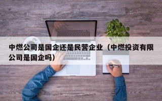 中燃公司是国企还是民营企业（中燃投资有限公司是国企吗）