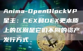 Anima-OpenBlockVP星主：CEX和DEX更本质上的区别是它们不同的资产发行方式