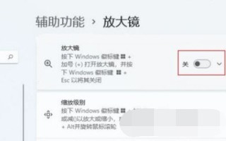 Windows11放大镜怎么关 Windows11放大镜怎关闭方法