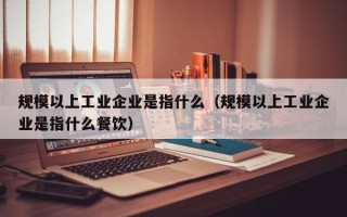 规模以上工业企业是指什么（规模以上工业企业是指什么餐饮）