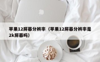 苹果12屏幕分辨率（苹果12屏幕分辨率是2k屏幕吗）